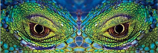 1228305920_19.national_geograpic.jpg