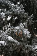 КИСЛОВОДСК2009_039.jpg
