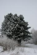 КИСЛОВОДСК2009_077.jpg