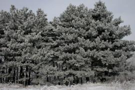 КИСЛОВОДСК2009_090.jpg