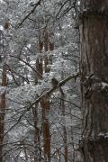 КИСЛОВОДСК2009_096.jpg