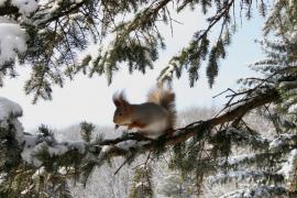 КИСЛОВОДСК2009_128.jpg