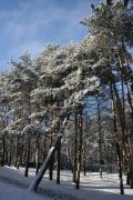 КИСЛОВОДСК2009_127.jpg
