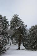 КИСЛОВОДСК2009_182.jpg