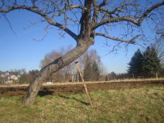 Bild_1212.jpg