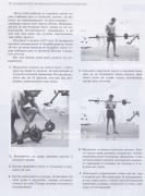 biceps1.JPG