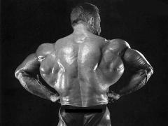 pure_back__dorian_yates_800x600.jpg