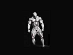 flex_wheeler_1024x768.jpg