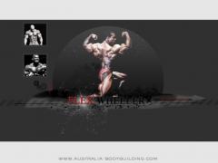 flex_wheeler_ifbb_pro_wallpaper_1024x768.jpg