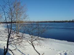 DSC02797.JPG