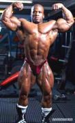 arnold_2.jpg