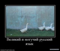 211125_velikij_i_moguchij_russkij_yazyik.jpg