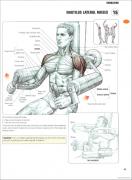 Nautilus_Lateral_Raises_96.jpg