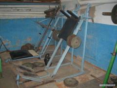 IMG_4740.jpg