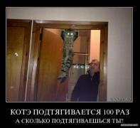 m.jpg