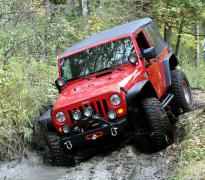 IMG_2647.jpg