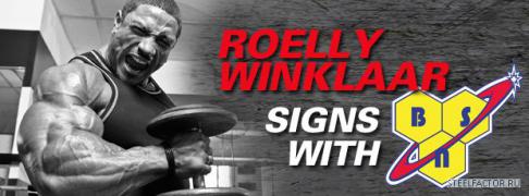 Roelly_Signs_BSN_2.jpg