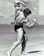 Arnold_Schwarzenegger_41.jpg