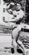 Arnold_Schwarzenegger_45.jpg