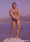 Arnold_Schwarzenegger_339.jpg