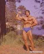 Arnold_Schwarzenegger_340.jpg