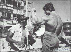 Arnold_Schwarzenegger_380.jpg