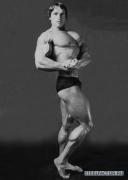 Arnold_Schwarzenegger_433.jpg