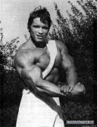 Arnold_Schwarzenegger_441.jpg