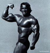 Arnold_Schwarzenegger_479.jpg