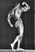 Arnold_Schwarzenegger_1551.jpg