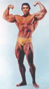 Arnold_Schwarzenegger_1574.jpg