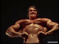 Arnold_Schwarzenegger_1771.jpg