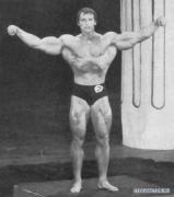 Arnold_Schwarzenegger_1831.jpg