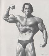 Arnold_Schwarzenegger_1942.jpg