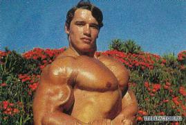 Arnold_Schwarzenegger_2005.jpg