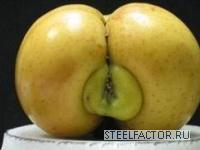 b_32385_apple.jpg