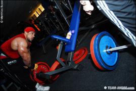 Roelly_BackBiceps_281629.jpg