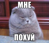 мне_похуй.jpg