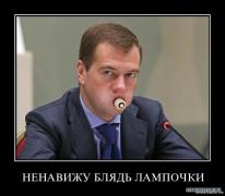 медведь.jpg