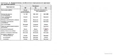 Характеристики_типов.jpg