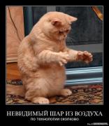 1281463560_iv1oztsteuor.jpg