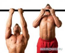 chin_ups.jpg
