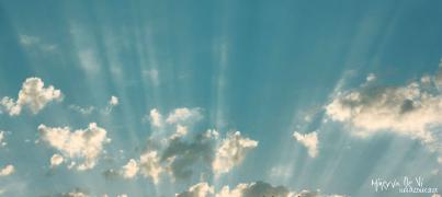 IMG_3118aa.jpg