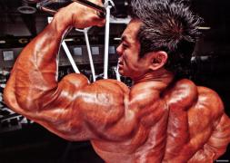 Hidetada_Yamagishi_Biceps_Wallpaper.jpg