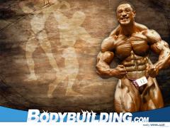 Roelly_Winklaar_Wallpaper.jpg
