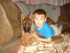 DSC08356.JPG