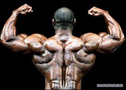 _42664419_bodybuilder.jpg