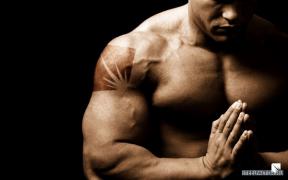 bodybuilding_wallpapers_22358_1280x800.jpg
