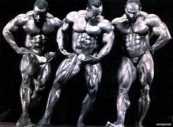 Cormier_Levrone_Sonbaty__11160654_.jpg