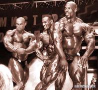 Kevin_Levrone_photo445.jpg